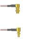 Amphenol Custom Cable Q-2P03H0005012i