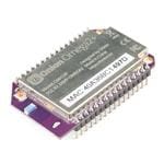 Imagen ampliada de Onion OM-O2P